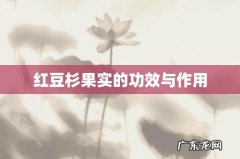 红豆杉果实的功效与作用