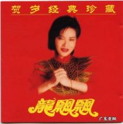 过年欢快喜庆的歌曲 过年喜庆歌曲有哪些