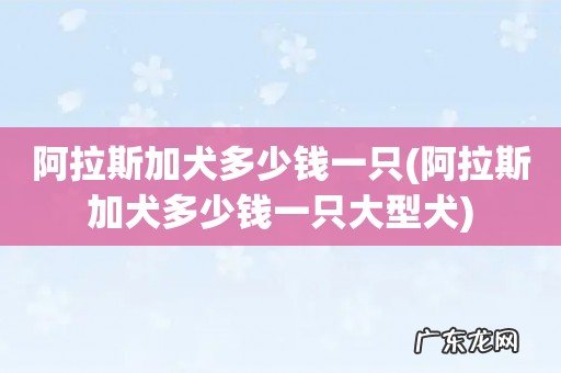 阿拉斯加犬多少钱一只大型犬 阿拉斯加犬多少钱一只