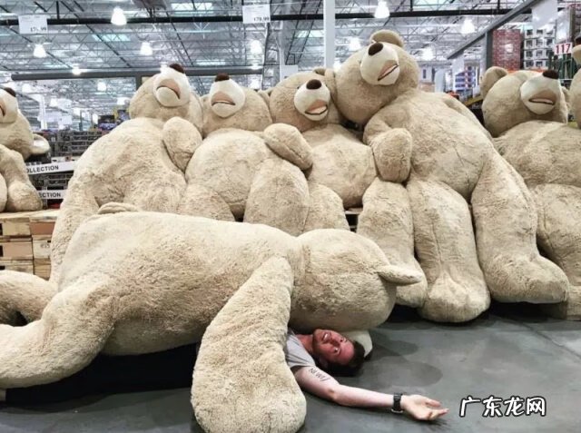 闵行新开的大型商场costco costco上海闵行地址电话