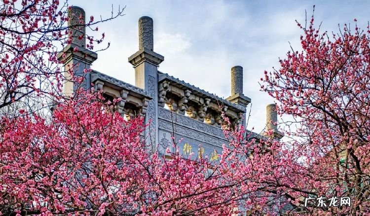 平原最好的阴宅风水图 平原风水及关水秘法