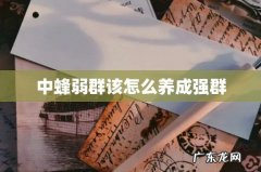 中蜂弱群该怎么养成强群