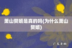 为什么萧山赘婿 萧山赘婿是真的吗
