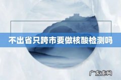 不出省只跨市要做核酸检测吗