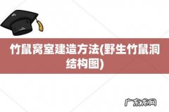 野生竹鼠洞结构图 竹鼠窝室建造方法