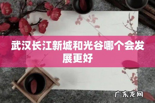 武汉长江新城和光谷哪个会发展更好