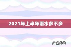 2021年上半年雨水多不多