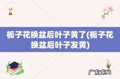 栀子花换盆后叶子发黄 栀子花换盆后叶子黄了