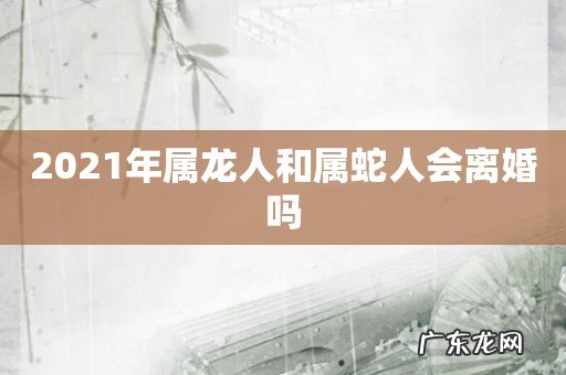 2021年属龙人和属蛇人会离婚吗