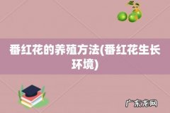 番红花生长环境 番红花的养殖方法