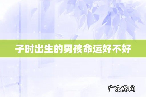 子时出生的男孩命运好不好