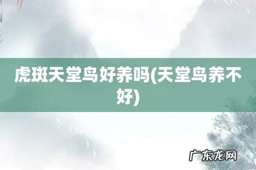天堂鸟养不好 虎斑天堂鸟好养吗