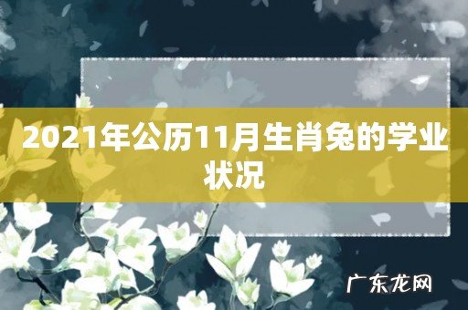 2021年公历11月生肖兔的学业状况