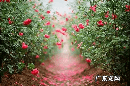 家有两个大门风水叫什么 二道门风水好不好