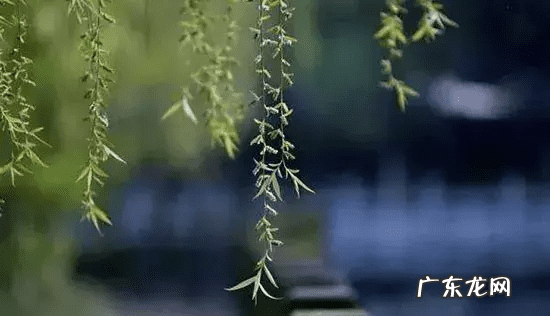 家有两个大门风水叫什么 二道门风水好不好