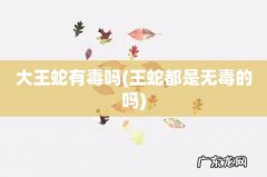 王蛇都是无毒的吗 大王蛇有毒吗