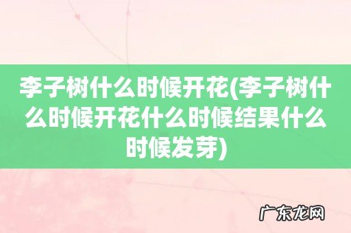 李子树什么时候开花什么时候结果什么时候发芽 李子树什么时候开花