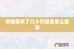 诱蜂箱来了几十只蜂是怎么回事