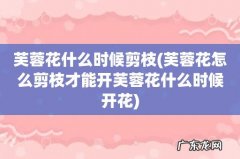 芙蓉花怎么剪枝才能开芙蓉花什么时候开花 芙蓉花什么时候剪枝