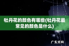 牡丹花最常见的颜色是什么 牡丹花的颜色有哪些