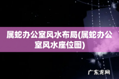 属蛇办公室风水座位图 属蛇办公室风水布局