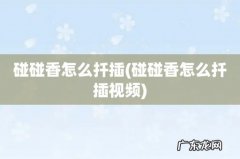 碰碰香怎么扦插视频 碰碰香怎么扦插