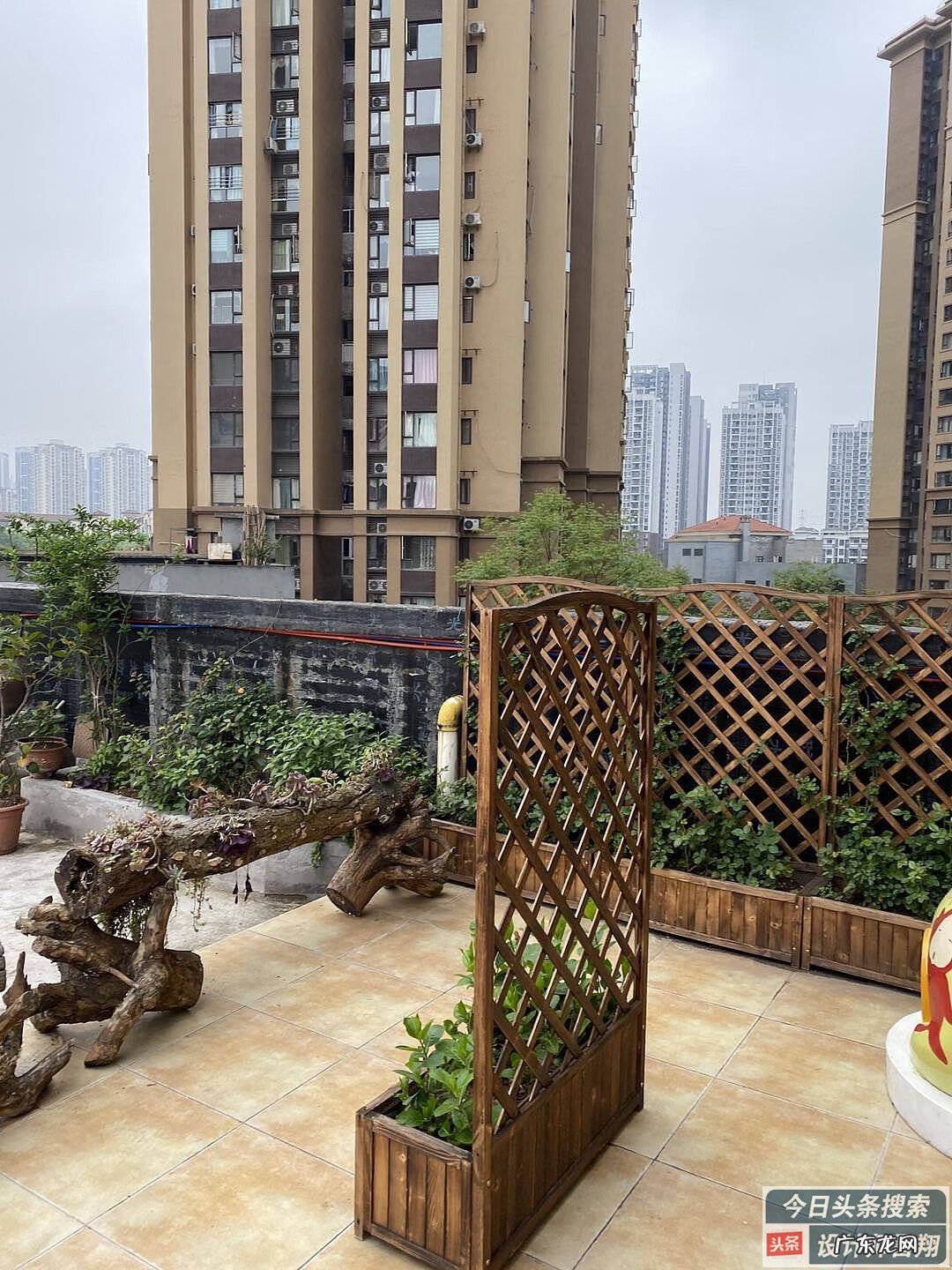 出水的地基风水好吗 无地基空中花园风水