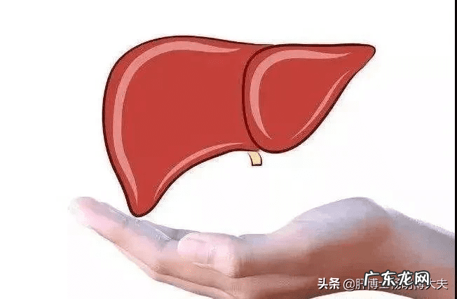 hbvdna定量检测是什么 hbvdna检测结果