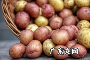 土豆皮的用处
