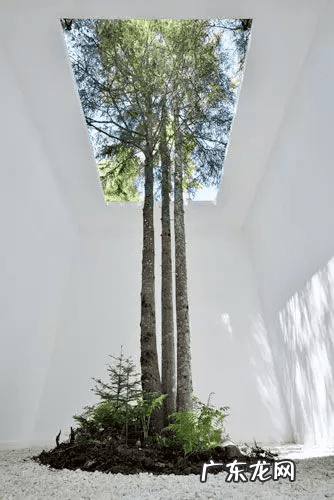 阳宅天井放水图 风水古宅天井出水是什么格局