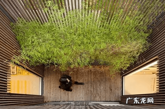 阳宅天井放水图 风水古宅天井出水是什么格局