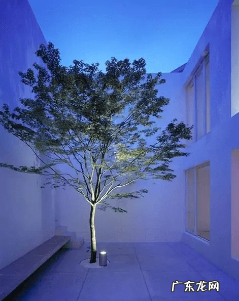 阳宅天井放水图 风水古宅天井出水是什么格局