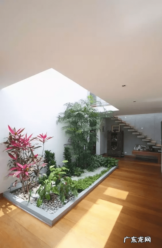 阳宅天井放水图 风水古宅天井出水是什么格局