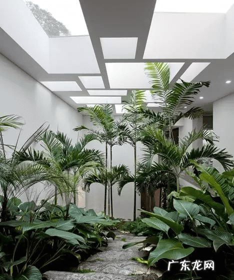 阳宅天井放水图 风水古宅天井出水是什么格局