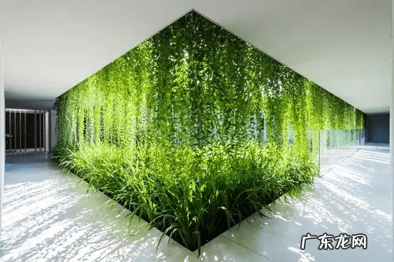 阳宅天井放水图 风水古宅天井出水是什么格局