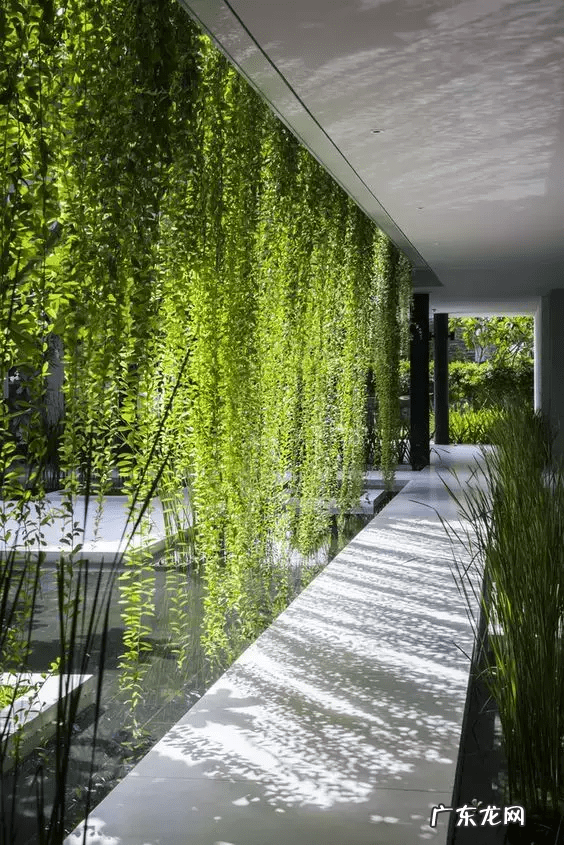 阳宅天井放水图 风水古宅天井出水是什么格局