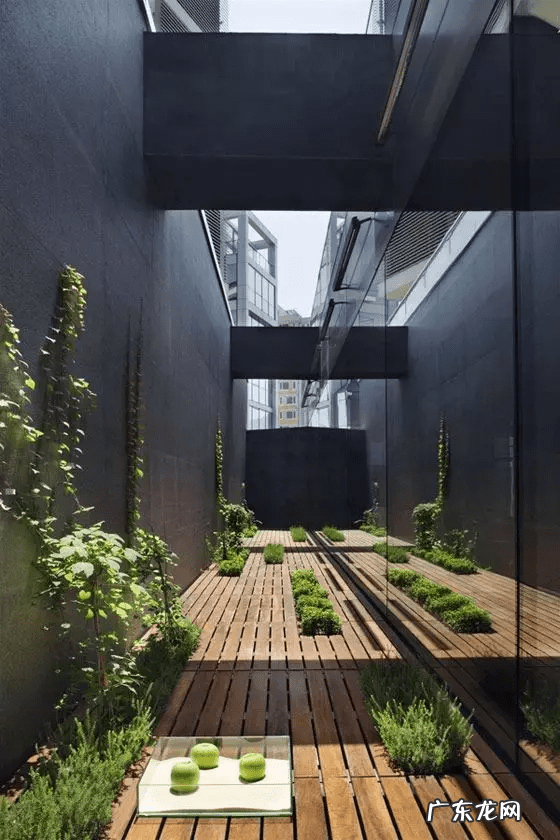 阳宅天井放水图 风水古宅天井出水是什么格局