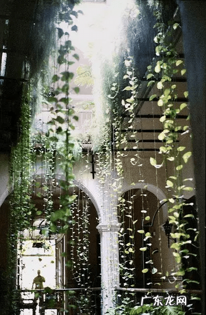 阳宅天井放水图 风水古宅天井出水是什么格局