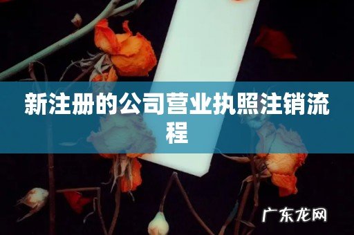 新注册的公司营业执照注销流程