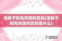 活珠子和毛鸡蛋的区别是什么 活珠子和毛鸡蛋的区别