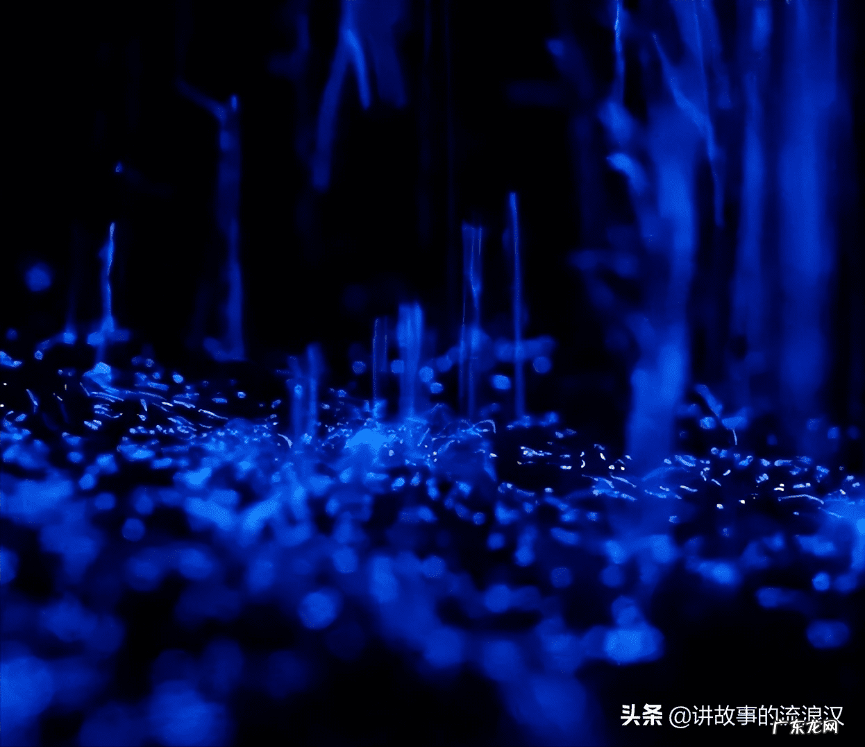 风水勘测 风水审查 气脉