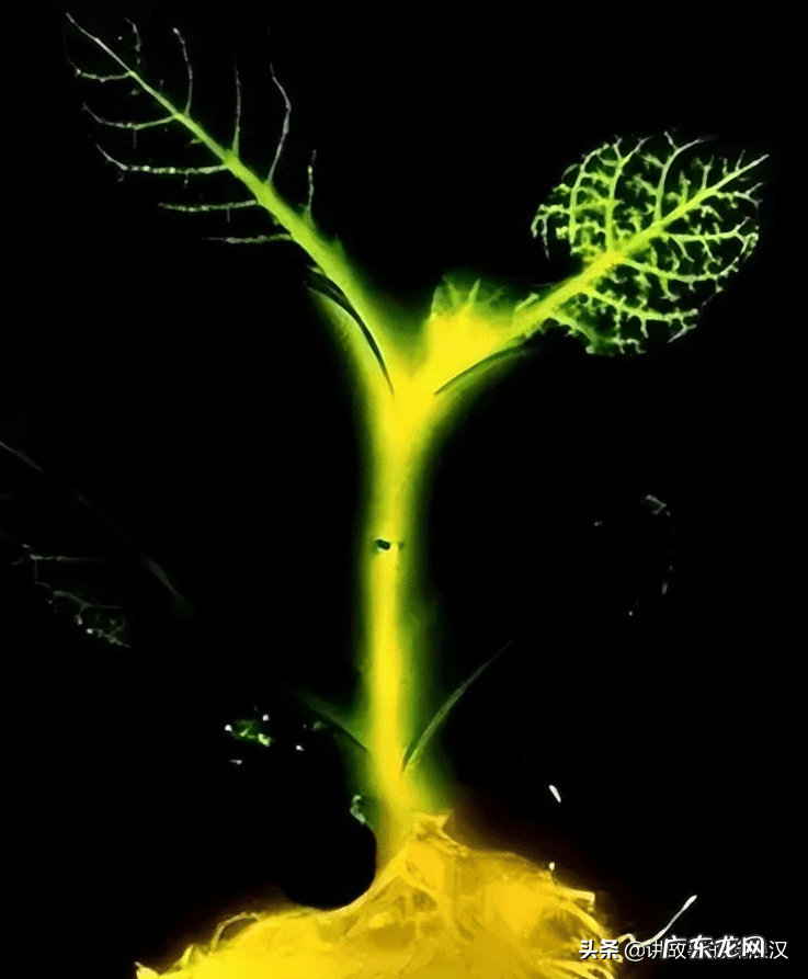 风水勘测 风水审查 气脉