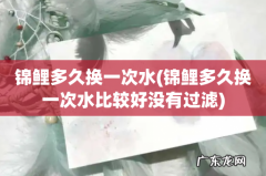 锦鲤多久换一次水比较好没有过滤 锦鲤多久换一次水