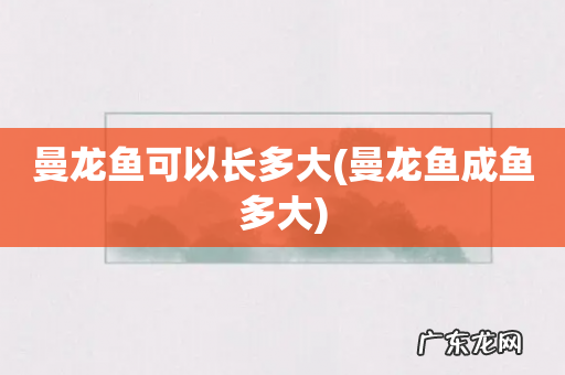 曼龙鱼成鱼多大 曼龙鱼可以长多大