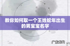 教你如何取一个王姓蛇年出生的男宝宝名字