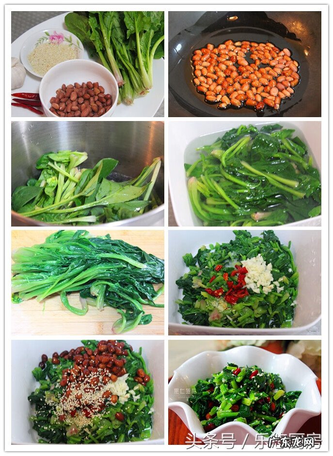 绿色蔬菜有哪些种类 绿色蔬菜有哪些?