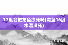 龙鱼16度水温没死 17度会把龙鱼冻死吗