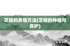芝樱的种植与养护 芝樱的养殖方法