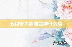 五月份大棚适合种什么菜