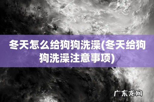 冬天给狗狗洗澡注意事项 冬天怎么给狗狗洗澡